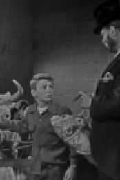 The Red Skelton Show S03E04 480p x264-mSD [eztv]