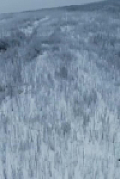 Mountain Men S13E05 480p x264-mSD EZTV