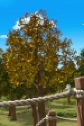 Treehouse Detectives S01E05 720p WEB x264-CRiMSON [eztv]