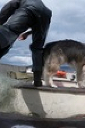 Life Below Zero First Alaskans S02E09 1080p WEB h264-EDITH EZTV