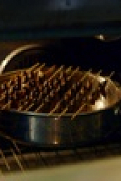 NOVA S48E16 Edible Insects 1080p WEB h264-BAE EZTV