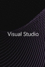 Microsoft.Visual.Studio.Enterprise.2019.v16.3.10.Multi-[WEB]