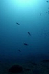 Drain The Oceans S04E03 XviD-AFG EZTV