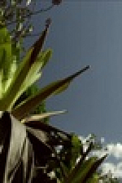 Essequibo Hidden River S01E01 XviD-AFG EZTV