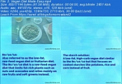 [ FreeCourseWeb ] Udemy - Fully Accredited Certification in Nutrition & Diet Pla...