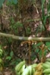 Naked and Afraid XL S05E05 WEB x264-TBS [eztv]