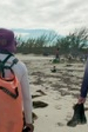 Shark Academy S01E04 Shipwrecked 720p WEBRip x264-KOMPOST EZTV