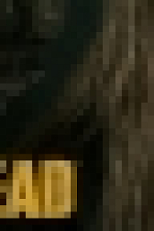 The Walking Dead S10E09 WEB-DL XviD B4ND1T69