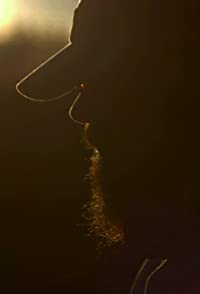 Matthew Shaw
