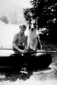 Jon Provost