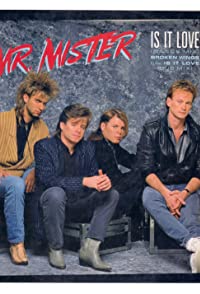 Mr. Mister