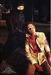 Sho Kosugi