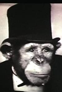 Richard Abramowitz