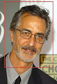 David Strathairn