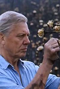 David Attenborough