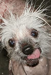 Rascal The World's Ugliest Dog