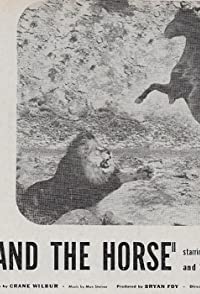 Wildfire the Horse