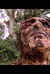 Ottaviano Dell'Acqua