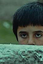 Dogan Izci