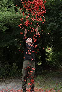 Andy Goldsworthy