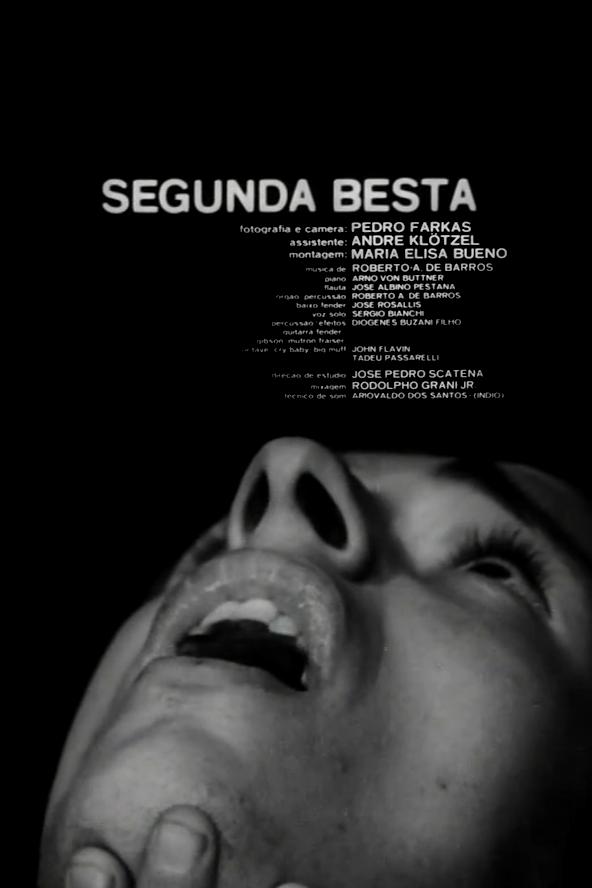 A Segunda Besta