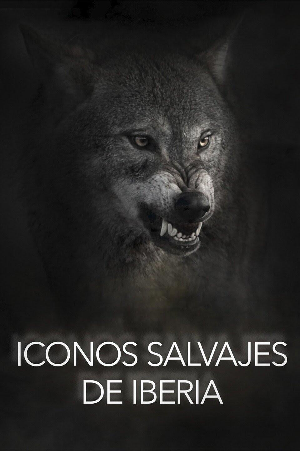 Wild Icons of Iberia