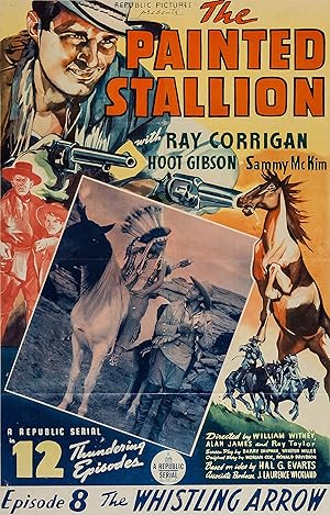 The Painted Stallion