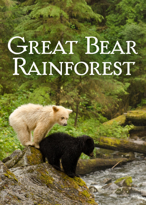 Great Bear Rainforest