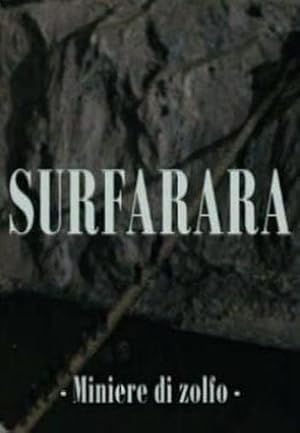 Surfarara