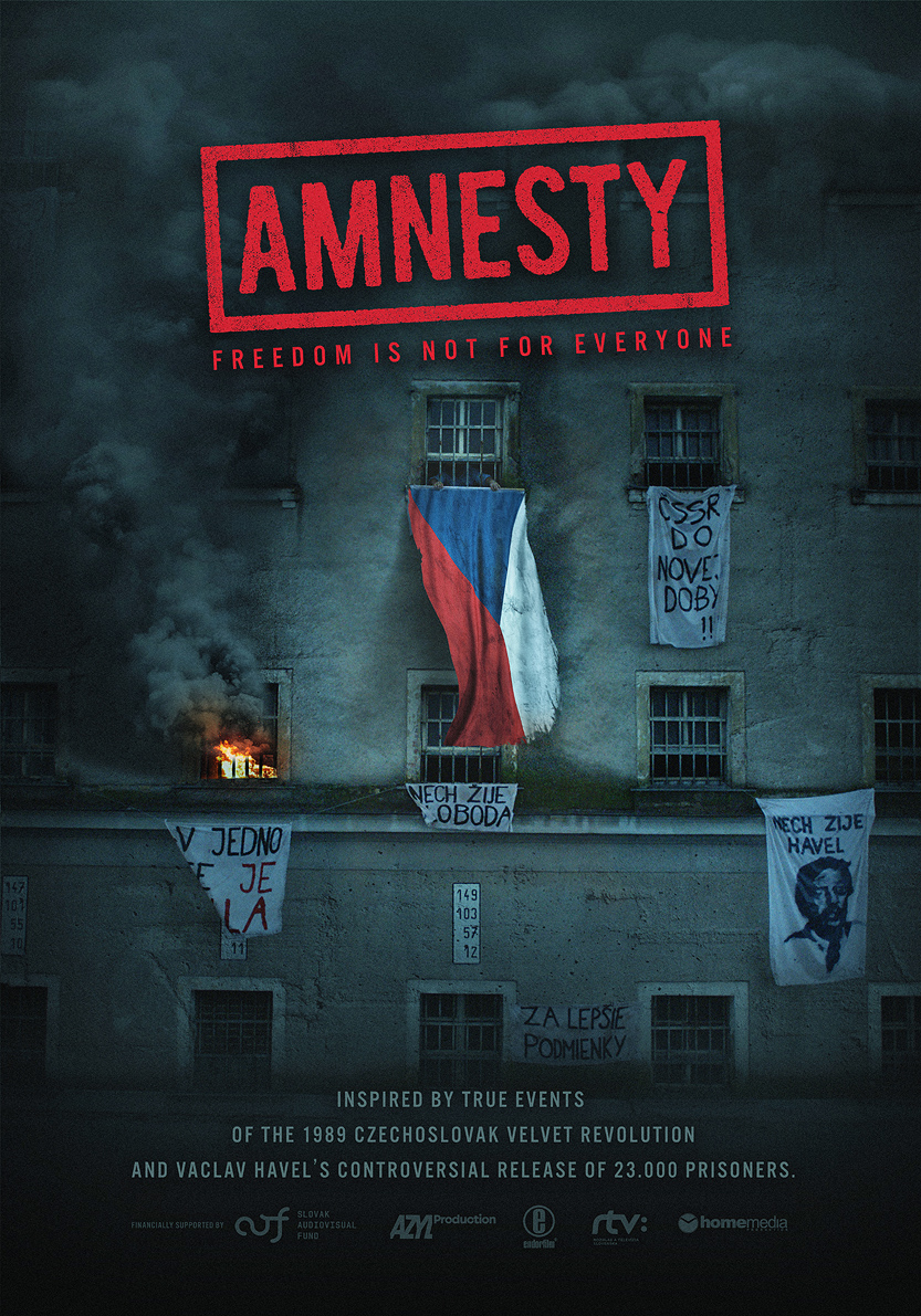 Amnesty