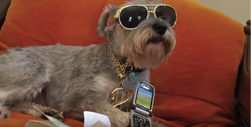 DoggyStyle What's My Name