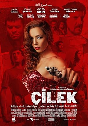 Cilek