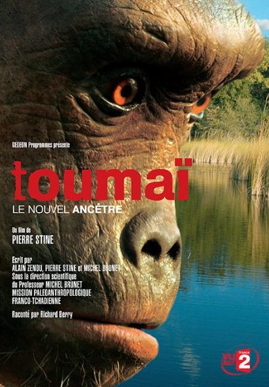 Toumai, the Oldest Human Ancestor