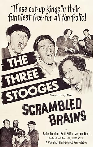 Scrambled Brains