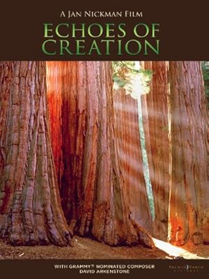 Echoes of Creation