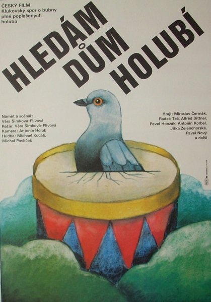 Hledam dum holubi