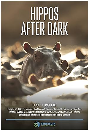 Hippos After Dark
