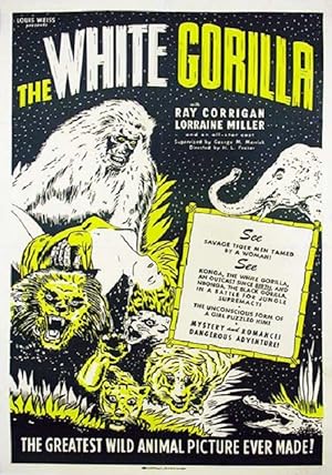 The White Gorilla