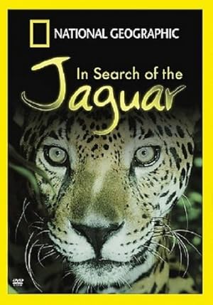 In Search of the Jaguar