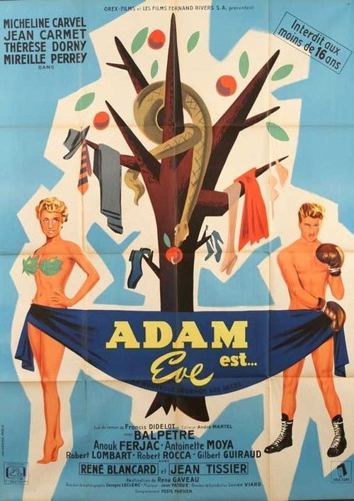 Adam is... Eve