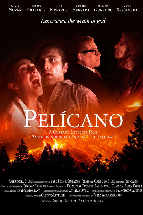 Pelicano