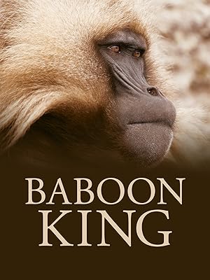 Baboon King