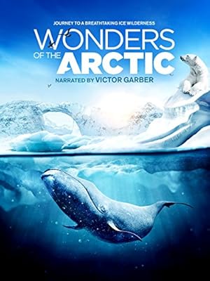 Wonders of the Arctic 3D