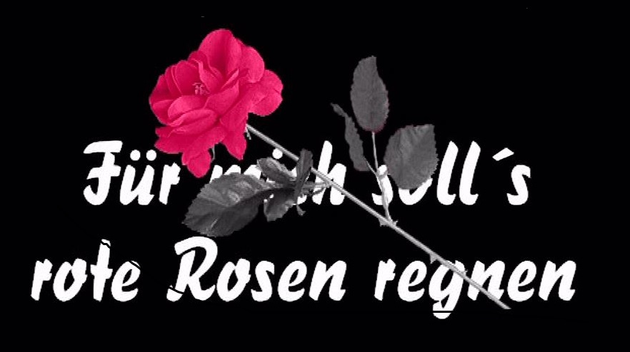 Fur mich soll's rote Rosen regnen