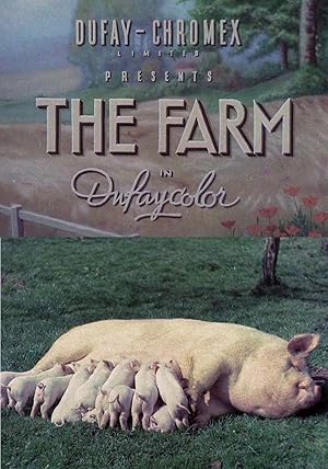 The Farm