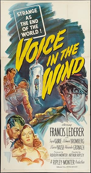 Voice in the Wind