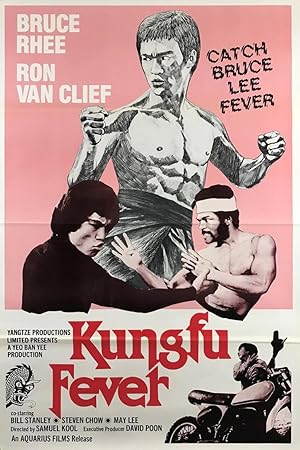 Kung Fu Fever