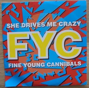 Fine Young Cannibals: She Drives Me Crazy