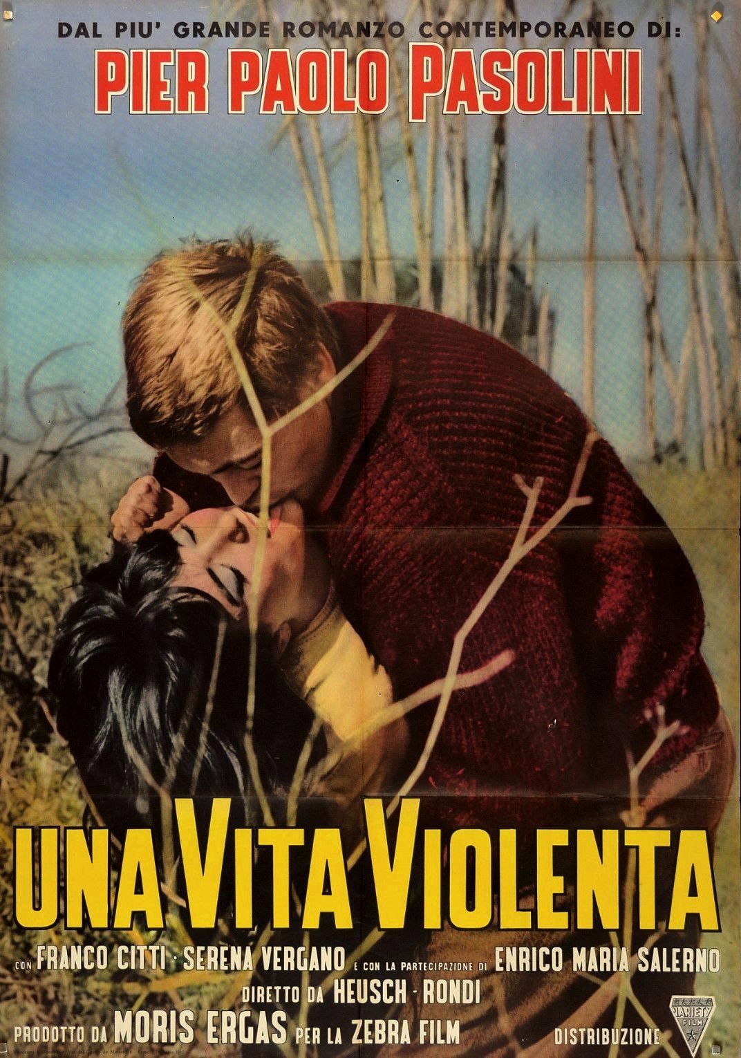 A Violent Life