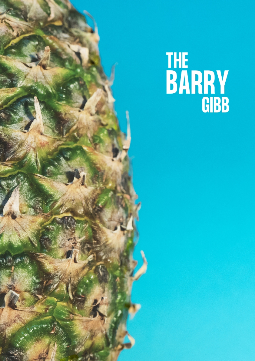 The Barry Gibb